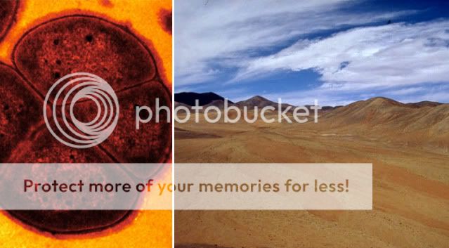 To the left is the Deinococcus peraridilitoris to the right is where it it is found