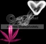 pink weed Pictures, Images and Photos
