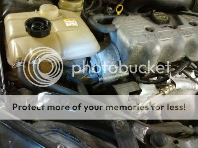 where is my timing belt?!?!?!?!? Focus Fanatics Forum