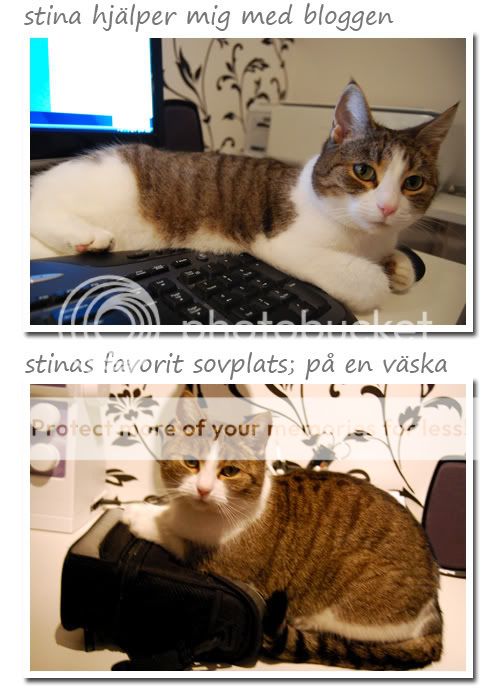 Stina på skrivbord