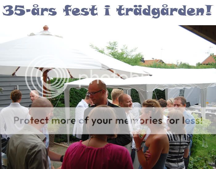 35-ars fest