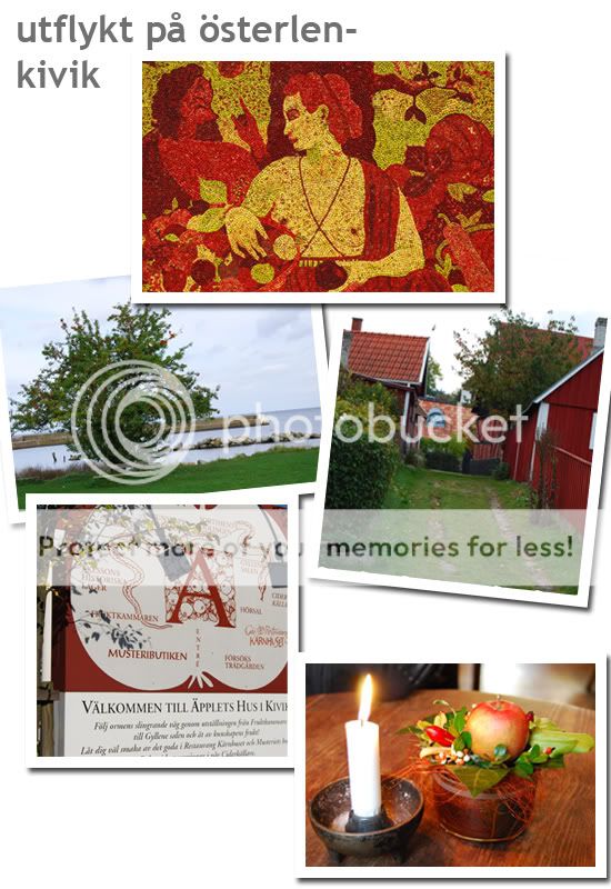 Collage 1