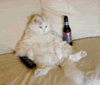 Forum Image: http://i470.photobucket.com/albums/rr67/Final-Fantasy-Freak/lazy_cat.gif