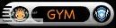 Gym Leader Gym Leader