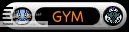 Gym Leader Gym Leader
