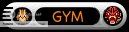 Gym Leader Gym Leader