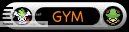 Gym Leader Gym Leader