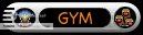 Gym Leader Gym Leader