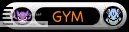 Gym Leader Gym Leader