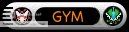 Gym Leader Gym Leader