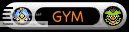 Gym Leader Gym Leader