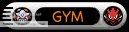 Gym Leader Gym Leader
