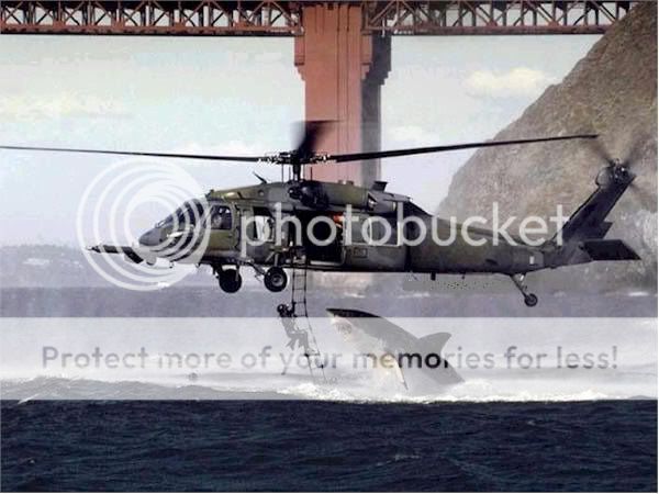 Shark_Helicopter.jpg