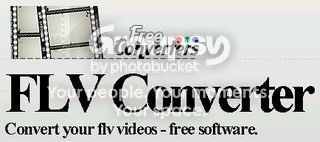 portable flv converter