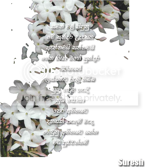 dilisi-1.png