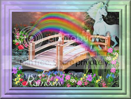 rainbow-bridgecopy.jpg